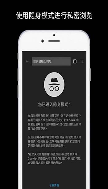 谷歌浏览器永久免升级版