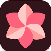 WallSpot壁纸APP高清版最新版v1.6