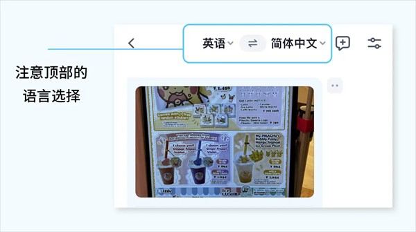 翻译鸥
