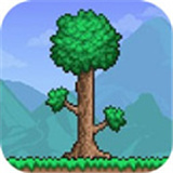 5playru泰拉瑞亚1.4.4.9中文版手机版