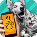 pettranslator动物语言翻译器安装v2.2.8