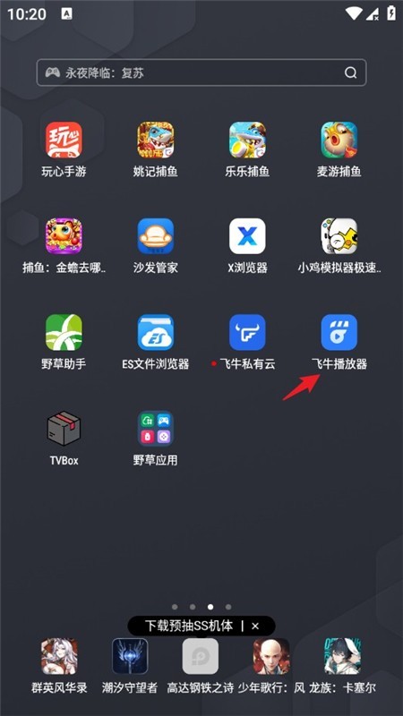 飞牛播放器