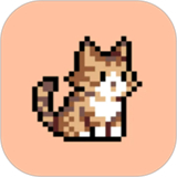 豆画app官方版v1.1