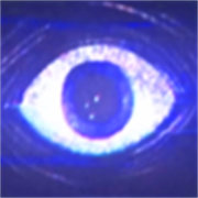 波比的游戏时间5玩家自制最新版v0.4.5
