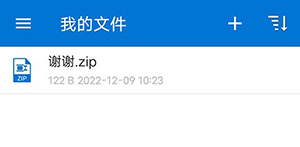 bandizip专业版免费下载-bandizip手机版下载官方最新版v7.6.0.1
