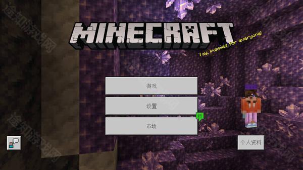 我的世界2d版