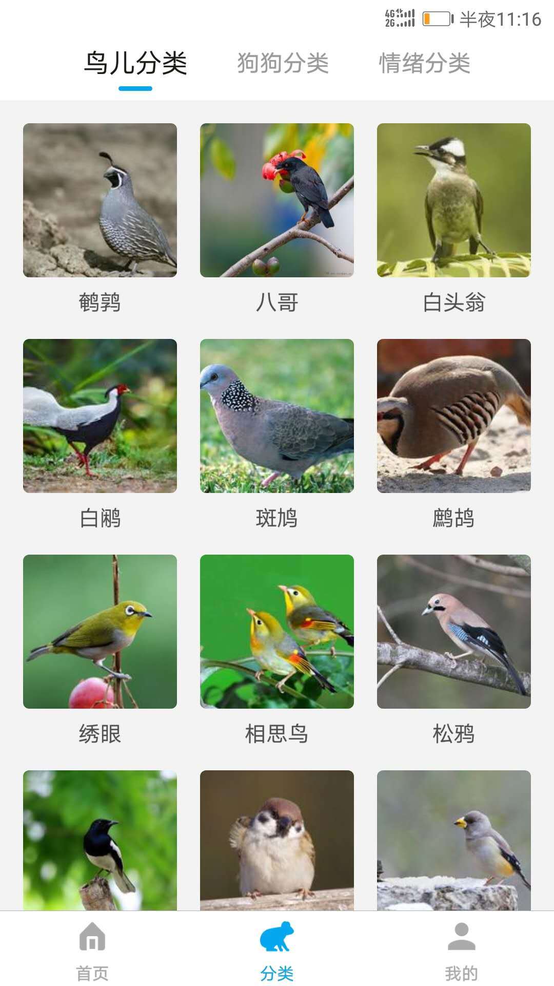 动物翻译器官方正版