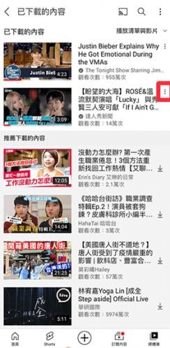 油管删除下载视频