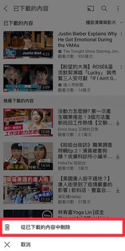 油管删除下载视频